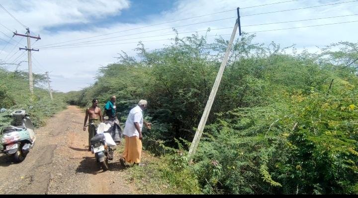 கிருங்காங்கோட்டையில் உடைந்து விழுந்த புதிய உயிர் மின்னழுத்த மின் கம்பங்களால் பொதுமக்கள் அச்சம்