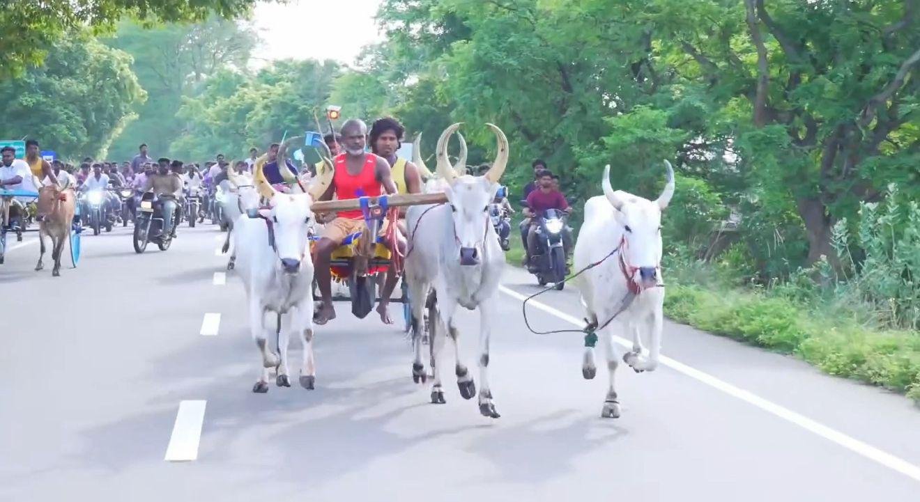 வண்டி உடைந்தாலும் விடாத மாடு... ரசிகர்களை கவர்ந்த ஓட்டம்!