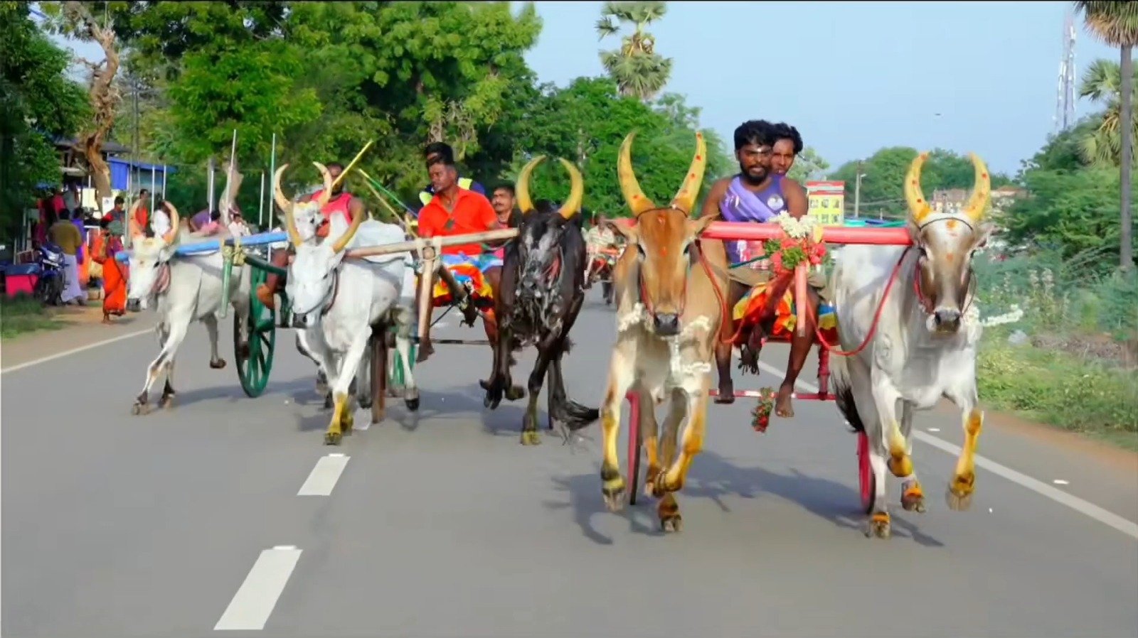 திருவேகம்பத்தூரில் மாட்டுவண்டிப் பந்தயம்