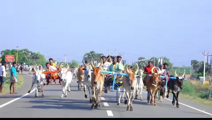 நாட்டரசன் கோட்டையில் மாட்டுவண்டிப் பந்தயம் 