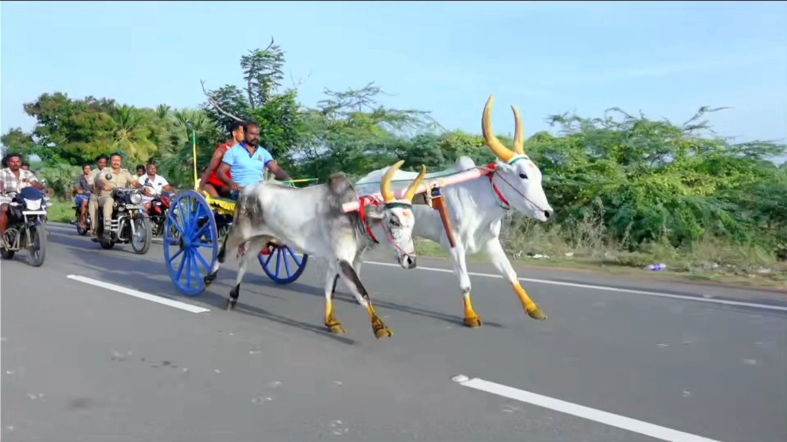 திருவேகம்பத்தூரில் மாட்டுவண்டிப் பந்தயம்