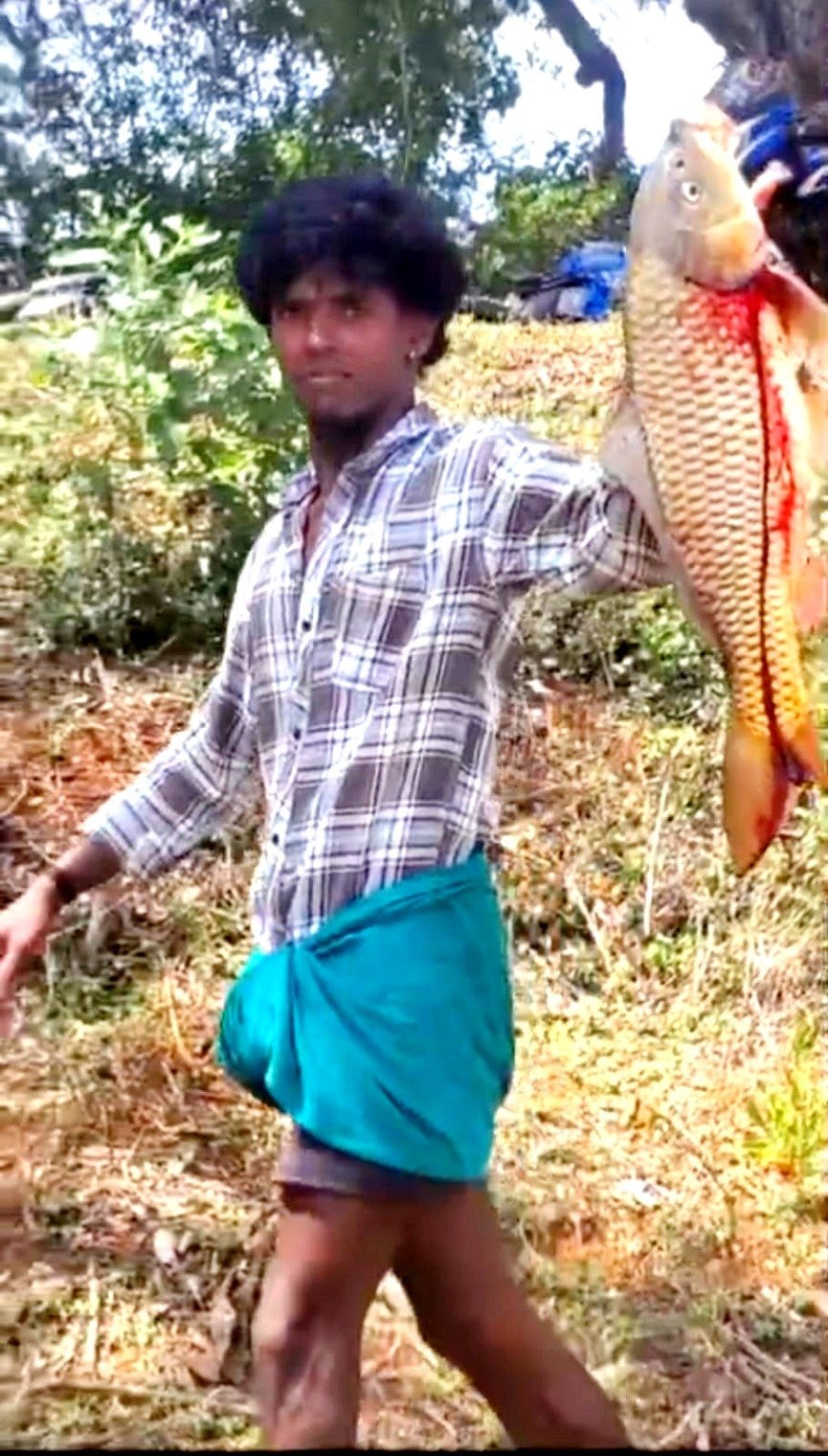 தட்டட்டியில் மீன்பிடித் திருவிழா