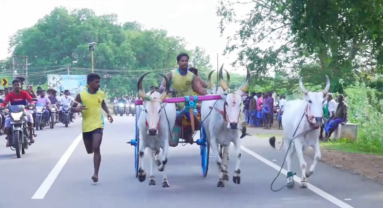 வண்டி உடைந்தாலும் விடாத மாடு... ரசிகர்களை கவர்ந்த ஓட்டம்!