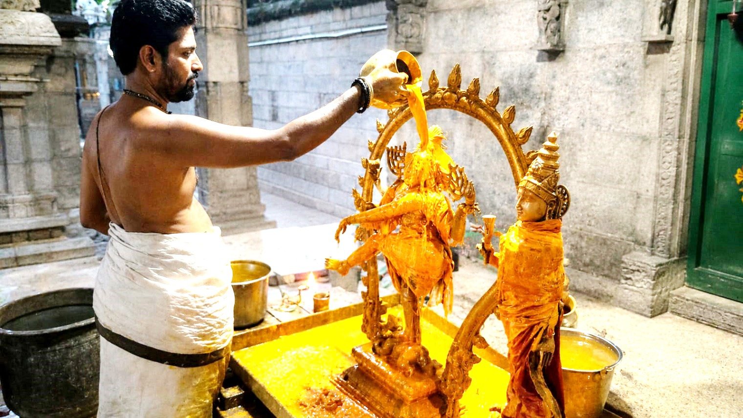 திருப்பத்தூர் திருத்தளிநாதர் ஆலயத்தில் ஆனித் திருமஞ்சன விழா